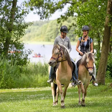 Hébergement de vacances Mit Sauna Im Mirow